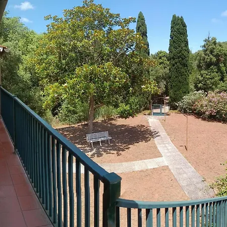 Giovanna - Goelba