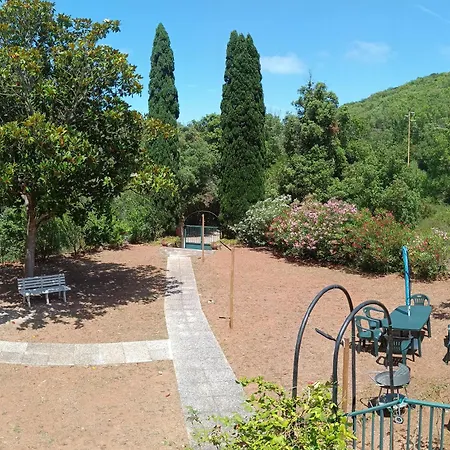 Giovanna - Goelba *