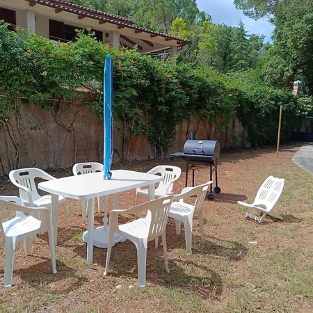 Giovanna - Goelba *