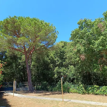 Giovanna - Goelba Holiday home *