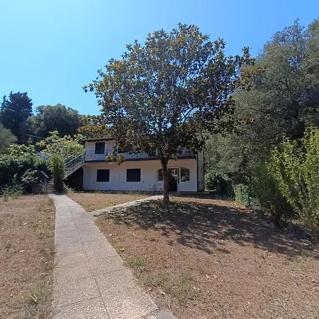 Giovanna - Goelba
